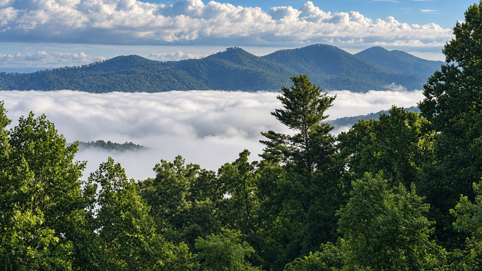 Low clouds settled in a mountain valley beneath the Blue Ridge ridgeline